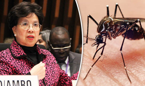 Zika Virus Is Global Public Health Threat WHO