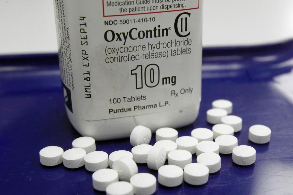 Prescription Painkillers Cause Of More Deaths Than Car Accident In US Survey